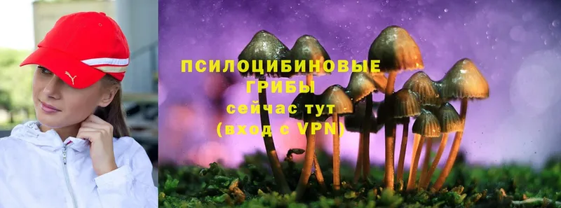 Галлюциногенные грибы GOLDEN TEACHER Туймазы